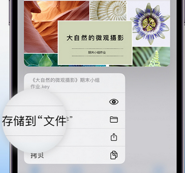 澄海apple维修中心分享iPhone文件应用中存储和找到下载文件