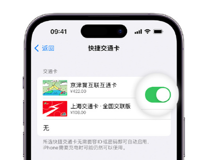 澄海apple维修点分享iPhone上更换Apple Pay快捷交通卡手绘卡面 