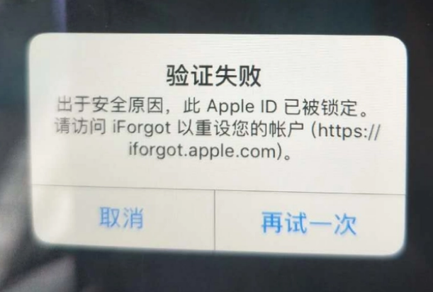 澄海iPhone维修分享iPhone上正常登录或使用AppleID怎么办 