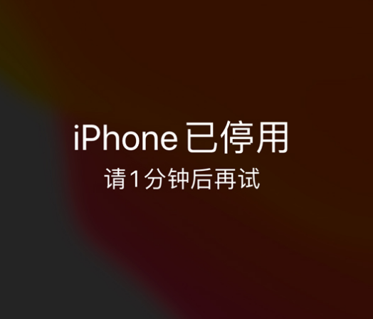 澄海苹果手机维修分享:iPhone 显示“不可用”或“已停用”怎么办？还能保留数据吗？ 