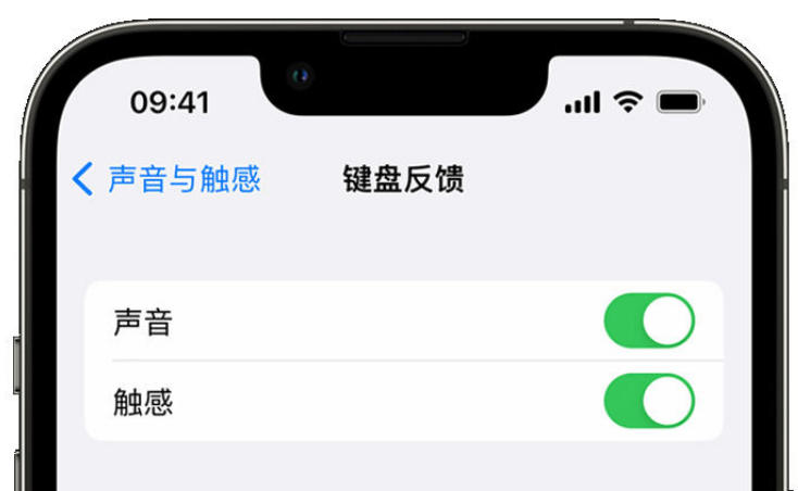 澄海苹果手机维修分享iPhone 14触感键盘使用方法 