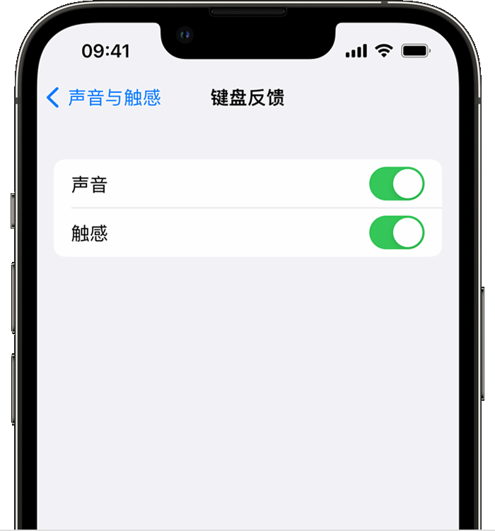 澄海苹果14维修店分享如何在 iPhone 14 机型中使用触感键盘 