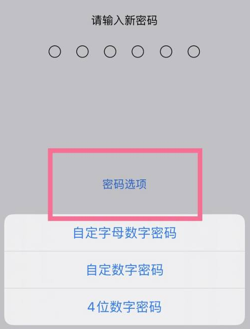 澄海苹果14维修分享iPhone 14plus设置密码的方法 