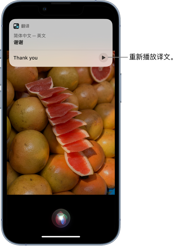 澄海苹果14维修分享 iPhone 14 机型中使用 Siri：了解 Siri 能帮你做什么 