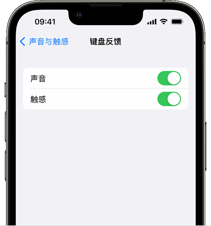 澄海苹果14维修分享iPhone 14 系列机型如何开启键盘声音或触感反馈 