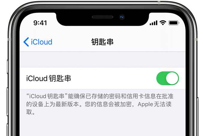 澄海苹果手机维修分享在 iPhone 上开启 iCloud 钥匙串之后会储存哪些信息 