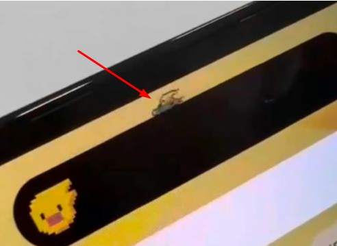 澄海苹果14维修分享iPhone 14 Pro Max灵动岛怎么养宠物 