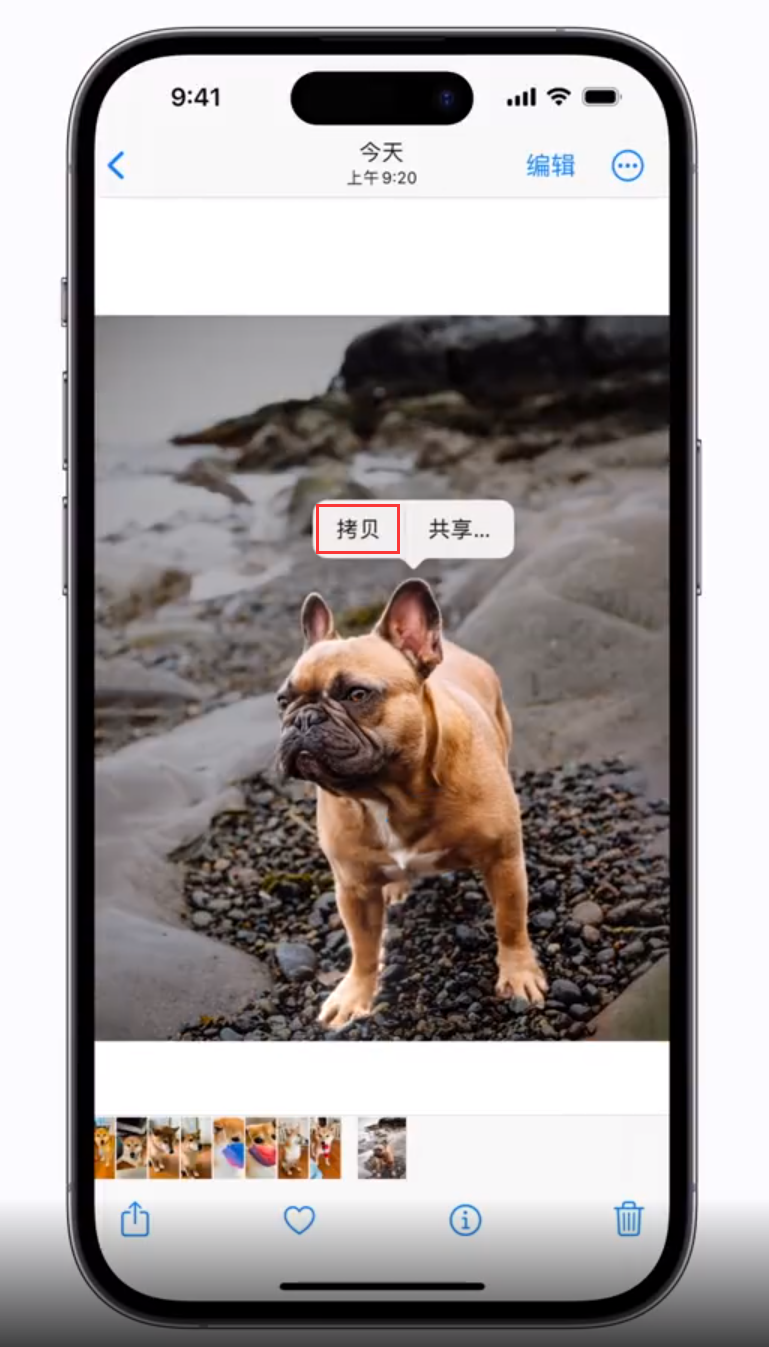 澄海苹果手机维修分享 iOS 16 自带一键抠图功能 