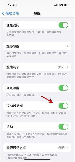 澄海苹果手机维修分享iPhone手机如何设置摇一摇删除文字 