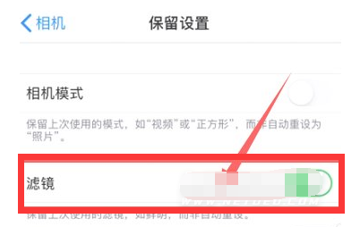 澄海苹果13维修分享iPhone13拍照有绿点是怎么回事 