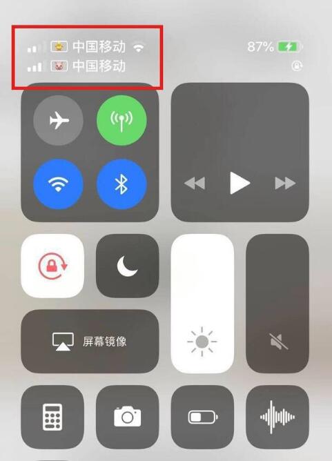澄海苹果手机维修分享为 iPhone 12 双卡设置标签 